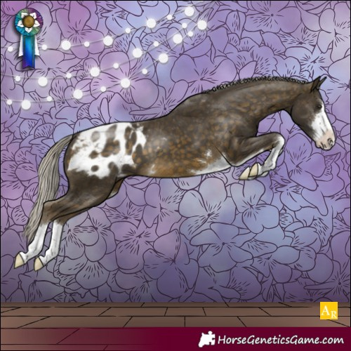 Horse Color:Silver Buckskin Appaloosa