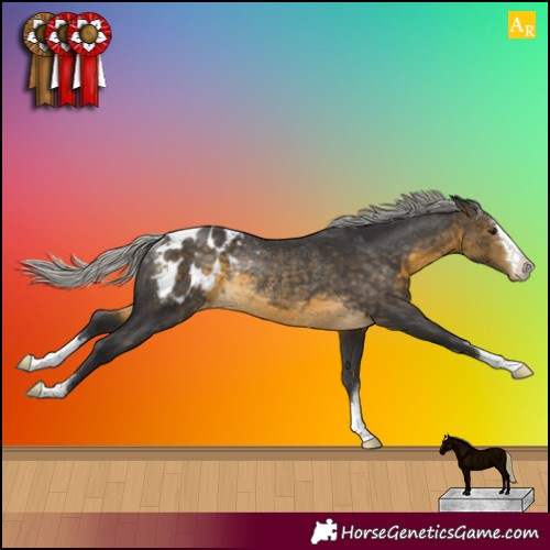 Horse Color:Silver Buckskin Appaloosa Rabicano 