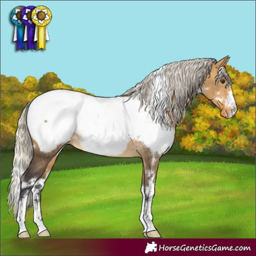 Horse Color:White Spotted Silver Buckskin Dun Snowcap Rabicano