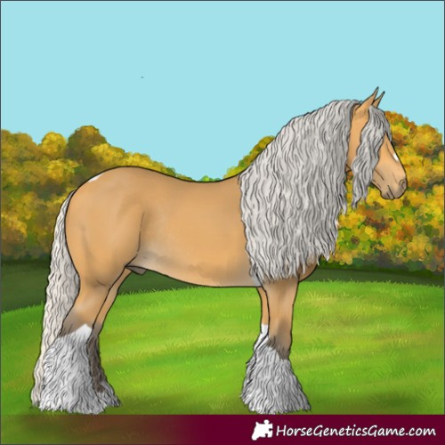 Horse Color:Silver Buckskin Tobiano Rabicano 