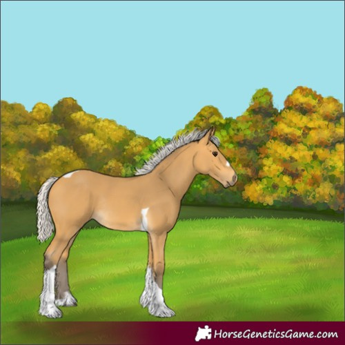Horse Color:Silver Buckskin Tobiano Rabicano