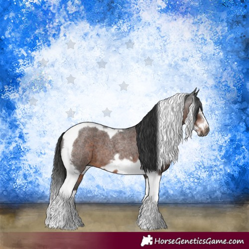 Horse Color:Gray Liver Red Roan Splash Tobiano Frame 