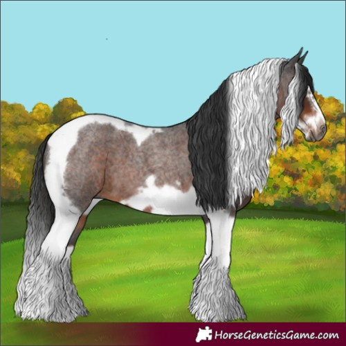Horse Color:Gray Liver Red Roan Splash Tobiano Frame