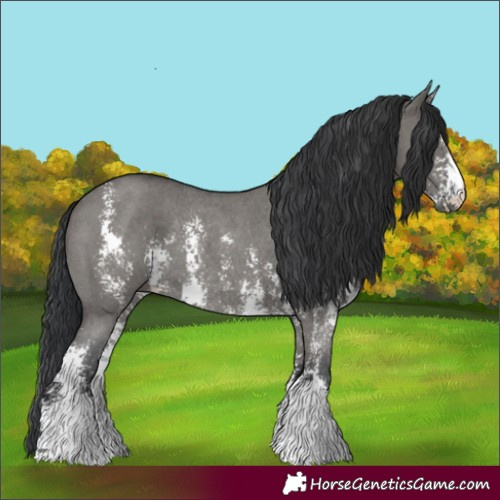 Horse Color:Grullo Sabino Rabicano 
