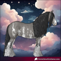 Horse Color:Grullo Sabino Rabicano