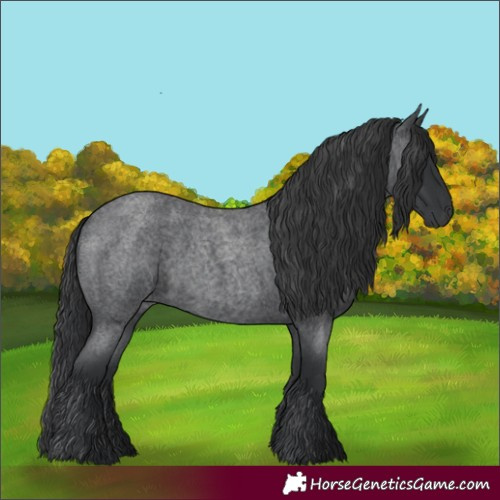 Horse Color:Blue Roan