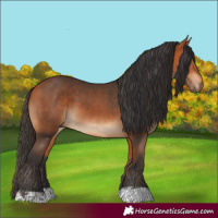 Horse Color:Bay and Bay