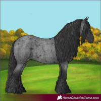 Horse Color:Blue Roan