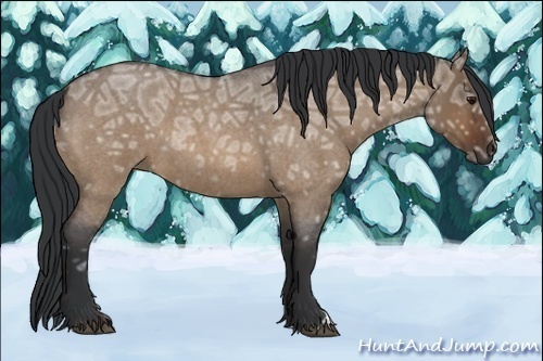 Horse Color:Bay Ice Roan Dun 