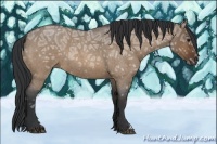 Horse Color:Bay Ice Roan Dun 