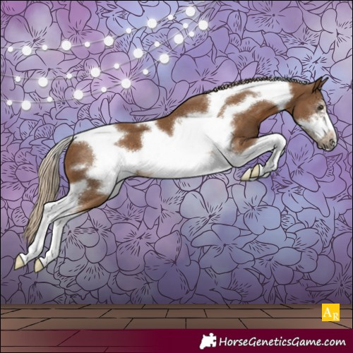 Horse Color:Chocolate Palomino Tobiano Frame 