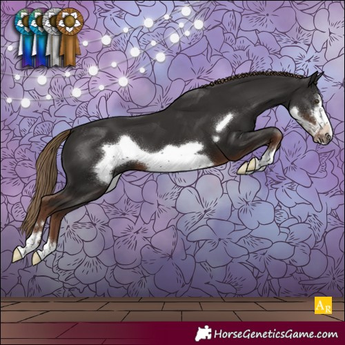 Horse Color:Liver Chestnut Frame
