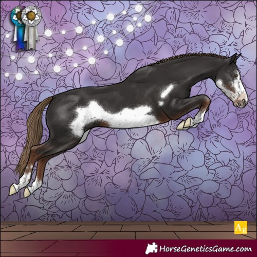 Horse Color:Liver Chestnut Frame 