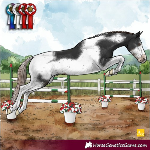 Horse Color:Liver Chestnut Tobiano Frame 