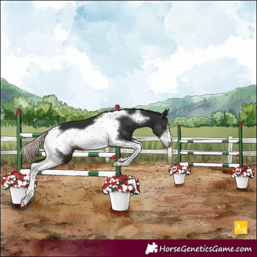 Horse Color:Liver Chestnut Tobiano Frame 