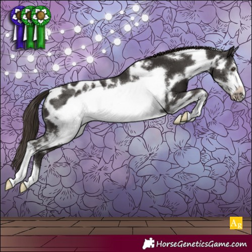 Horse Color:White Spotted Liver Chestnut Sabino Frame Appaloosa Rabicano