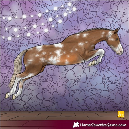 Horse Color:White Spotted Chocolate Palomino Tobiano Frame