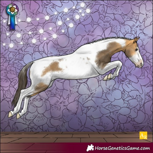 Horse Color:Buckskin Tobiano Frame