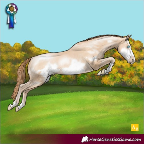 Horse Color:Buckskin Pearl Sabino Frame