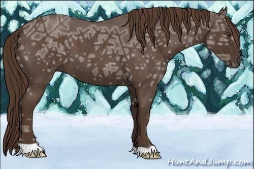 Horse Color:Liver Red Ice Roan 