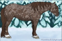 Horse Color:Liver Red Ice Roan 