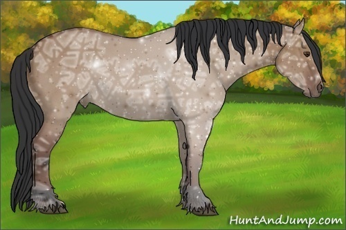 Horse Color:Bay Ice Dun 