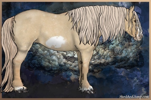 Horse Color:Palomino Roan Dun Frame 