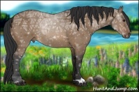 Horse Color:Bay Ice Dun