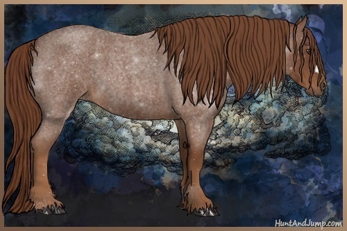Horse Color:Red Roan