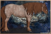 Horse Color:Red Roan