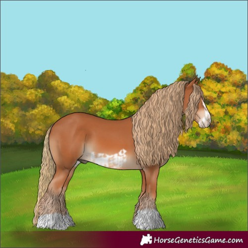 Horse Color:Chestnut  and Chestnut Frame 