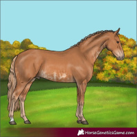 Horse Color:Chestnut  and Chestnut 