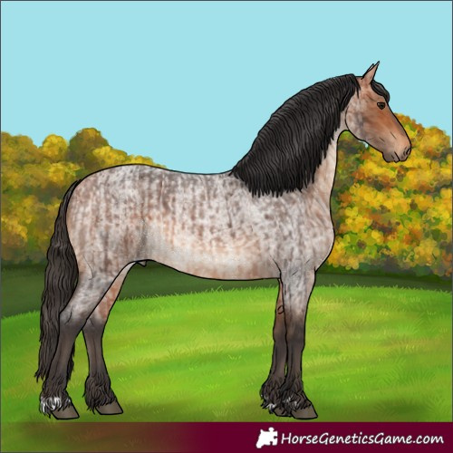 Horse Color:Bay Roan  and Bay Roan 