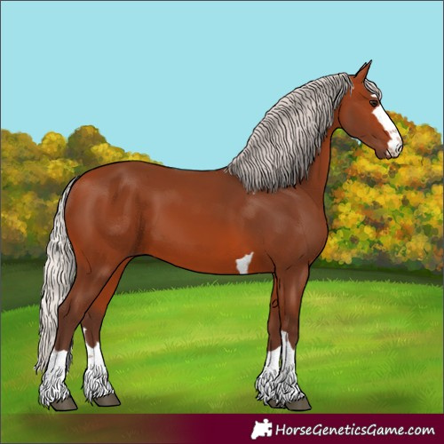 Horse Color:Silver Bay 
