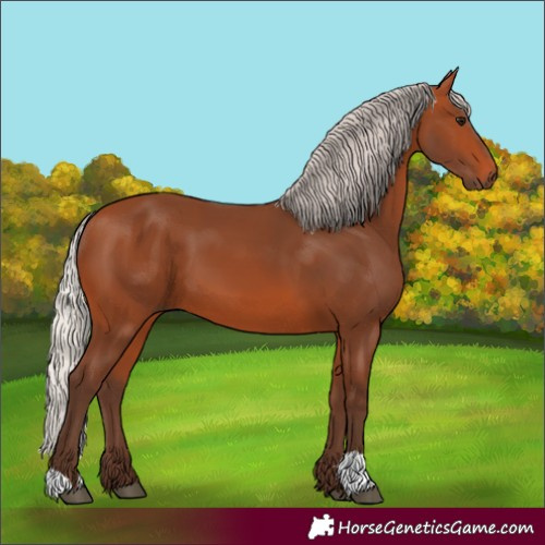 Horse Color:Silver Bay 