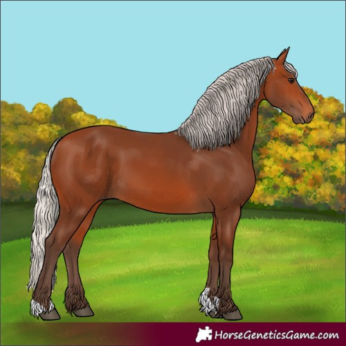 Horse Color:Silver Bay 