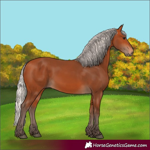 Horse Color:Silver Bay