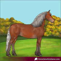 Horse Color:Silver Bay