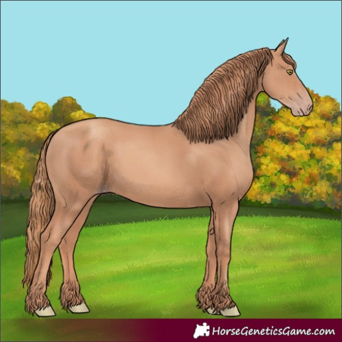 Horse Color:Gold Champagne Rabicano