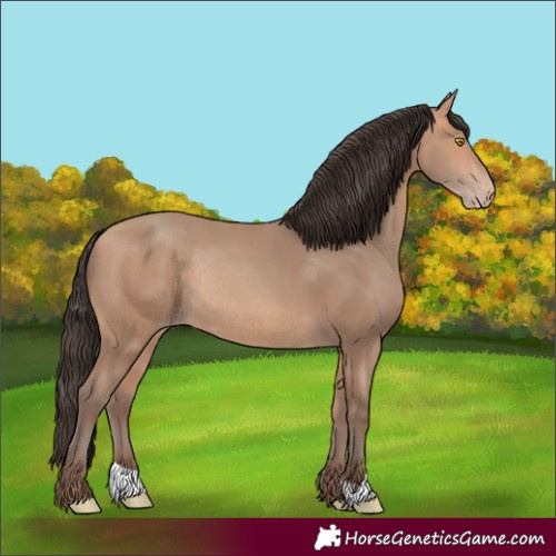 Horse Color:Amber Champagne Rabicano 