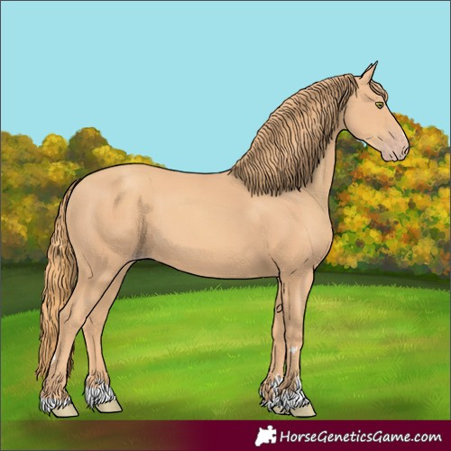 Horse Color:Gold Champagne