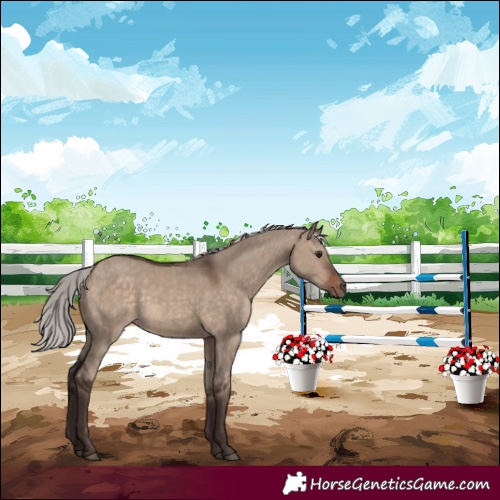 Horse Color:Silver Brown Dun 