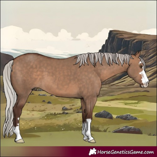 Horse Color:Silver Brown Dun
