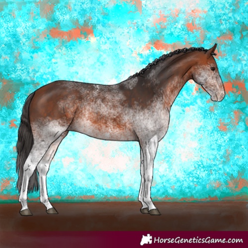 Horse Color:White Spotted Bay 