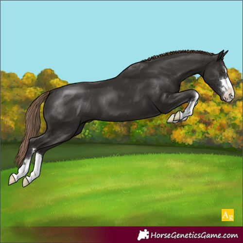 Horse Color:Liver Chestnut