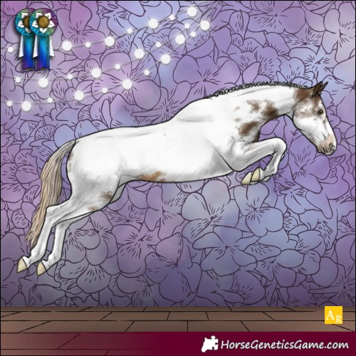 Horse Color:White Spotted Chocolate Palomino Tobiano Frame