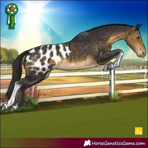 Horse Color:Buckskin Tobiano Blanket