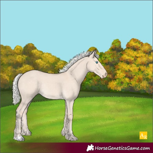 Horse Color:Silver Smoky Creme Dun Rabicano 