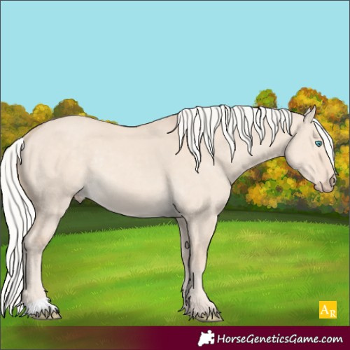 Horse Color:Silver Smoky Creme Dun Rabicano