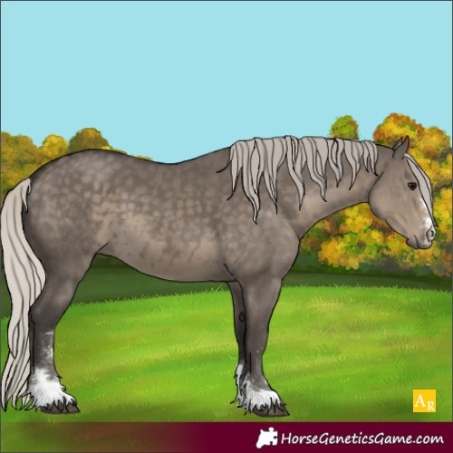 Horse Color:Silver Smoky Grullo 
